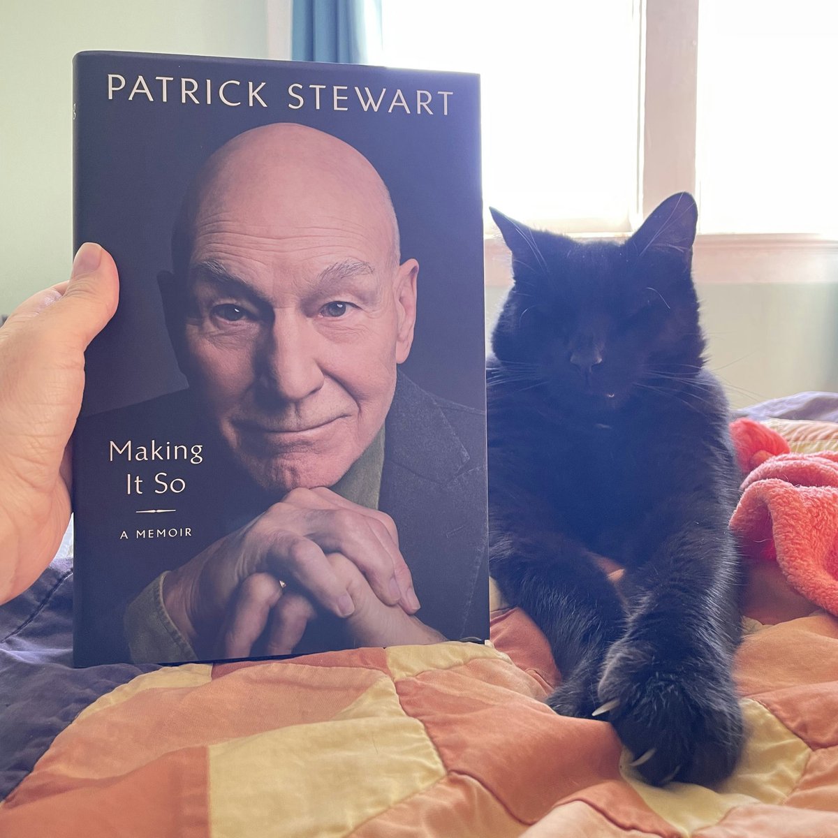 FountainBkstore's tweet photo. Hank and his twin Jean-Luc Picard are two peas in a pod! Our contest is ending soon, so submit your furry friends today! https://t.co/QmUxjTHj53 #patrickstewart #CatOber #spookyreads #indiebookstore #bookrecs #contest #shoplocalrva https://t.co/fmD4LVSvPI