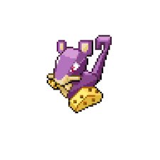 🌻 Rachel 🌻 tweet media