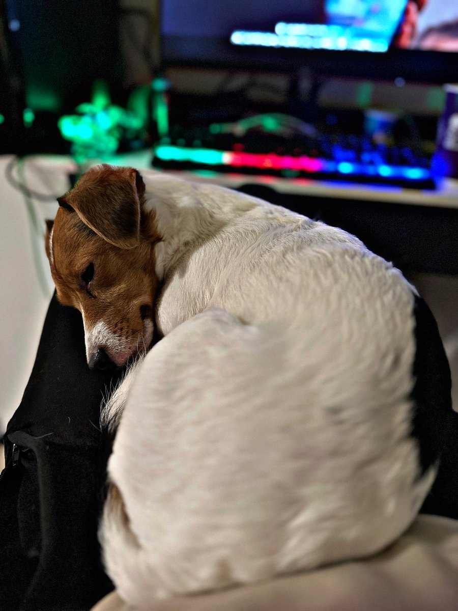 Amor odio con este individuo jajaj