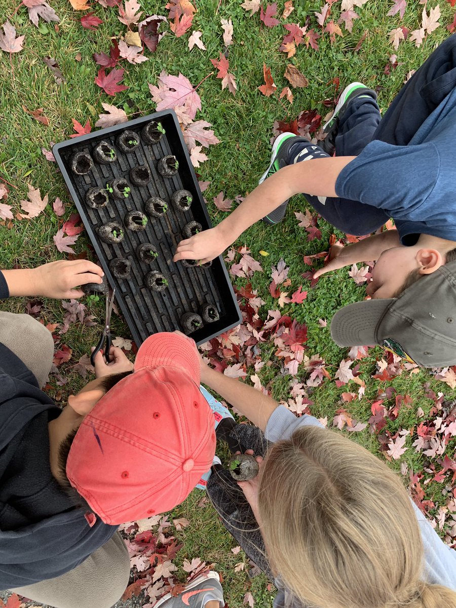 GRADE 4/5 tweet media