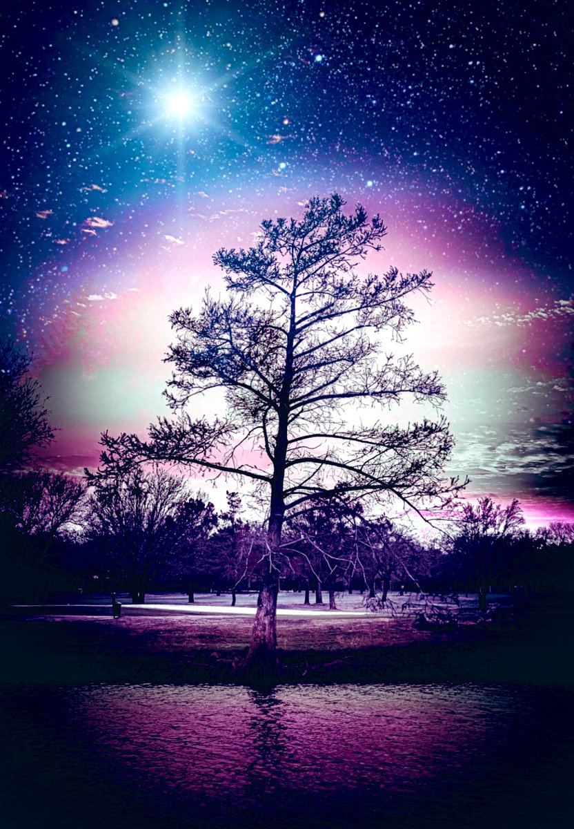 Archterra_'s tweet photo. You will never be criticized by someone who is doing more than you. You’ll only be criticized by someone who is doing less. #archterra4life #landscape #investinginourpeople #SupportEachOther #qualityoverquanity https://t.co/NeqHjSQYFI