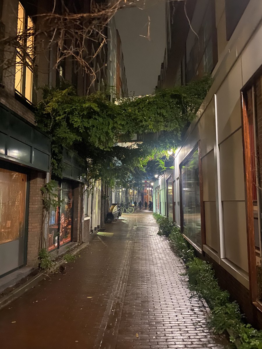 AMATTIS_'s tweet photo. Lost in Dam https://t.co/Tnfz23LSN3