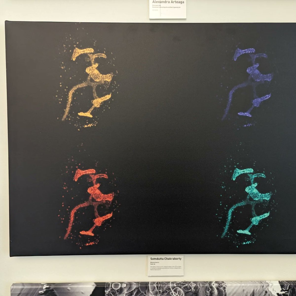 LabVarner's tweet image. While we wait for the Somdutta&apos;s closed door to finish, documenting some of the lab&apos;s 
fame in the dept 😛

@bme_utd @UtswBmeProgram #kidneyresearch #cornearesearch #biomechanics #department #photos #phd #graduates