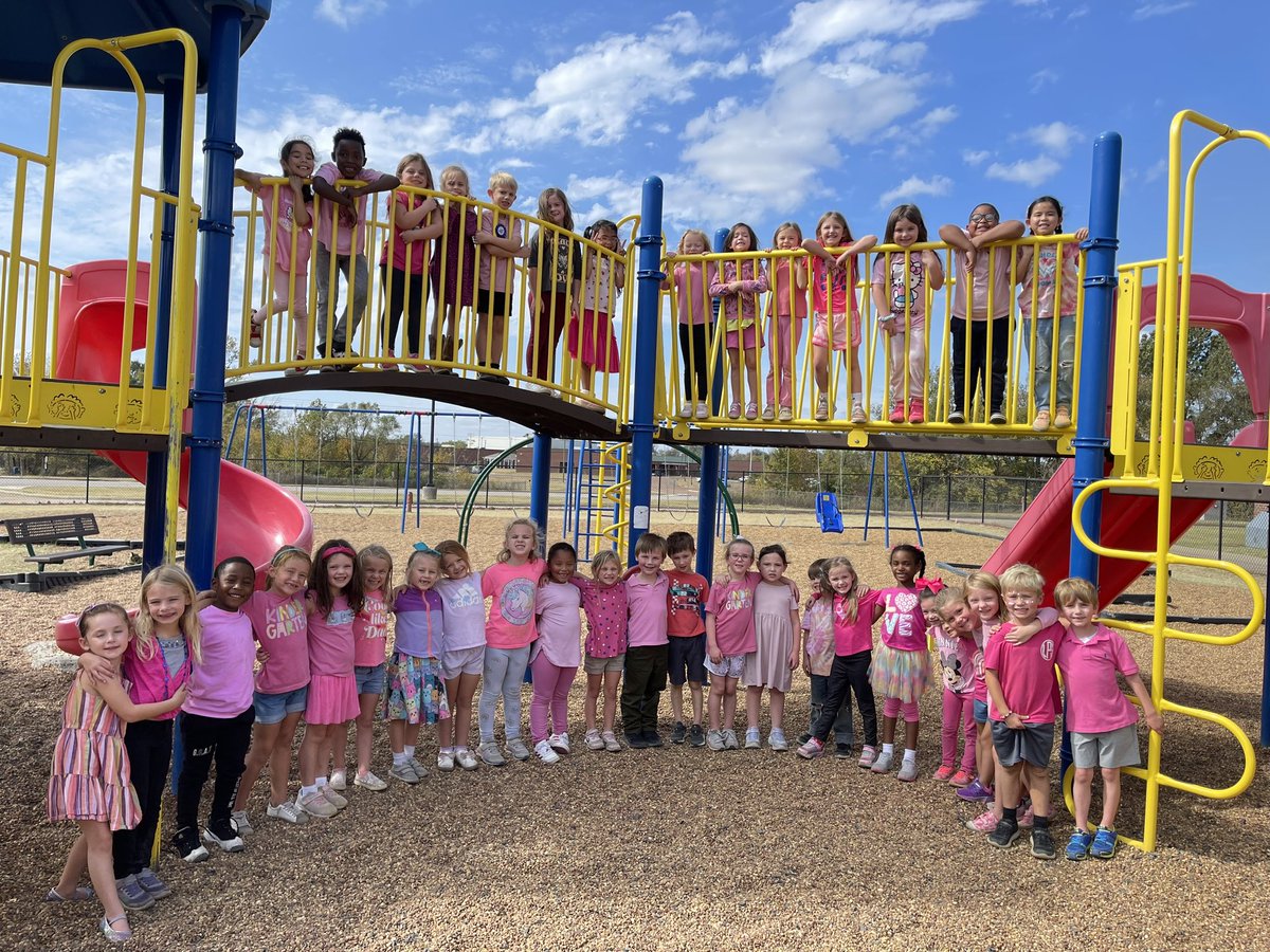 TweetDCS_LPS's tweet photo. 🩷Together we are tougher than cancer! 🩷#pinkisapowercolor #LPSRocks #TeamDCS #BreastCancerAwareness https://t.co/DSepxKShfq