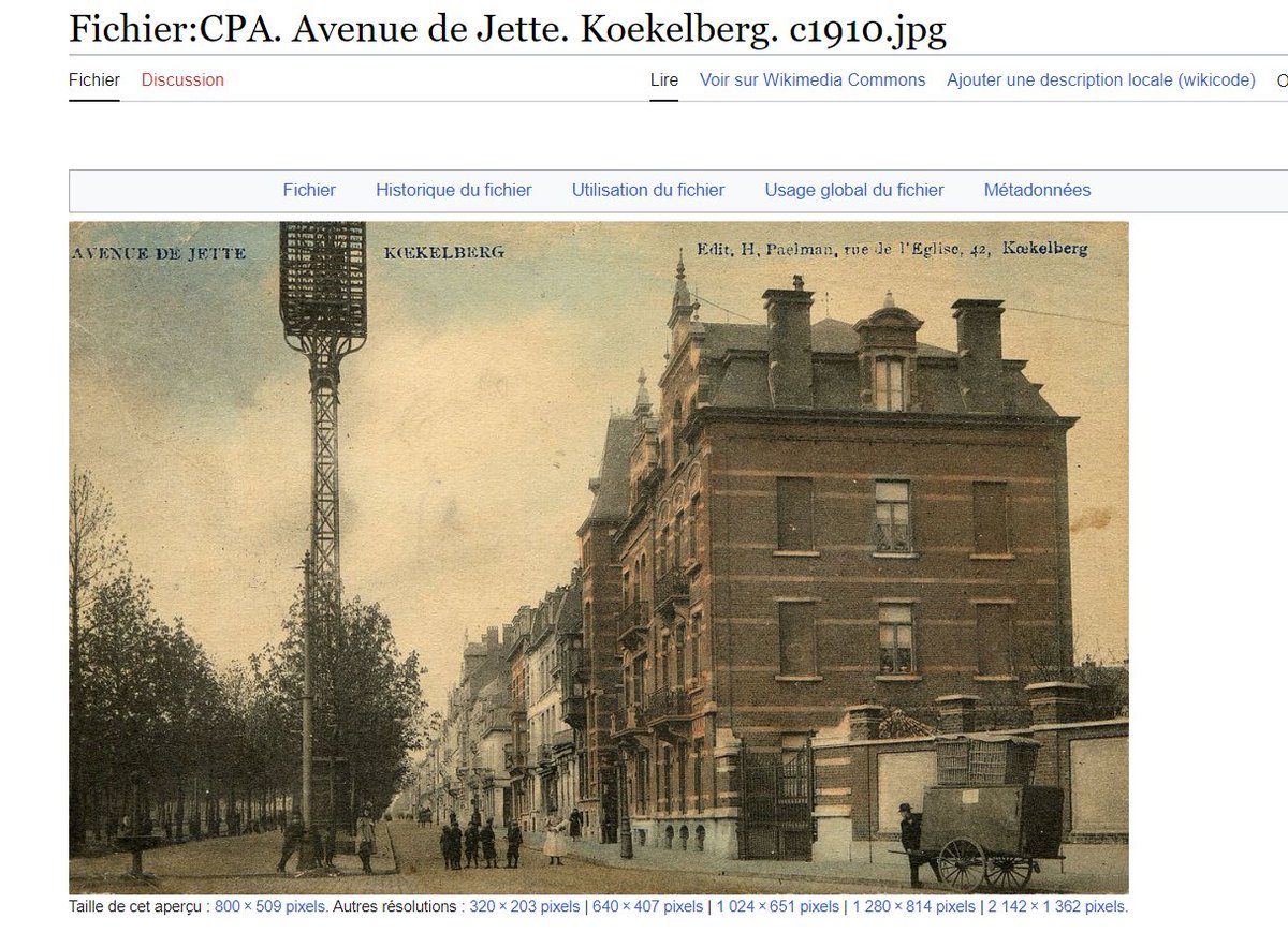 LauraSpit tweet media