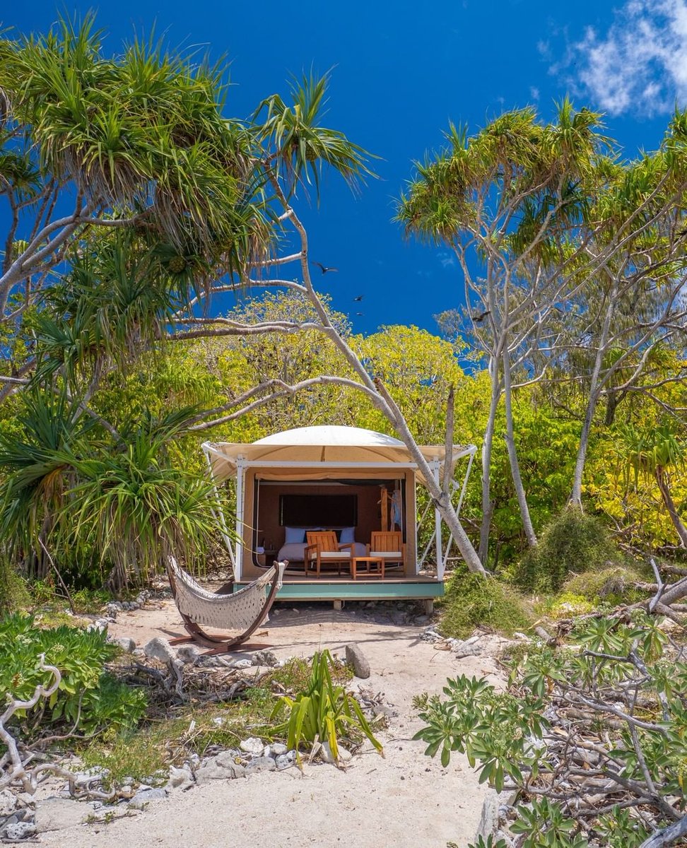 Your one-of-a-kind reef safari awaits ✨

Set amongst the #WilsonIsland Pandanus you'll find 9 permanent eco-tents that seamlessly embrace the pristine natural surroundings while ensuring comfort with luxurious touches!

📷 IG/_markfitz #OnlyOnWilson <a href="/gladstoneregion/">Visit Gladstone</a> <a href="/Queensland/">Queensland Australia</a>