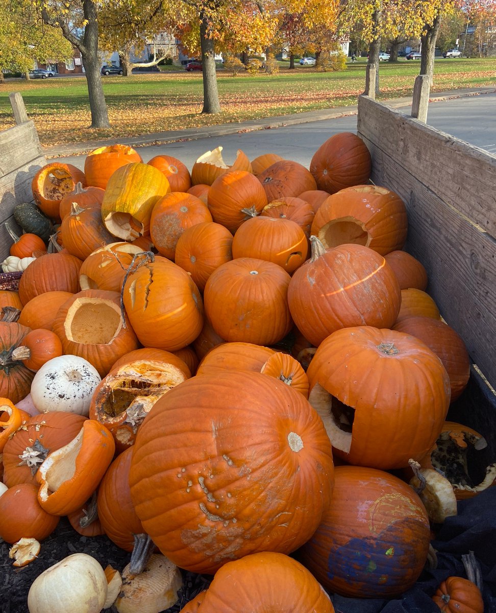 BuffaloGardens's tweet photo. Save your pumpkins from critters and trash by composting them ๐ We have partnered with Farmer Pirates Compost and Buffalo River Compost to turn your pumpkins into compostable material โป๏ธ Drop your pumpkins off at the Botanical Gardens on November 3-5 from 10-4! #SaveThePumpkins https://t.co/IY2DqHQDUN