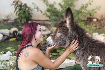 @StartingOver #FarmSanctuary rescues &amp; rehabilitates animals across #Israel &amp; #Palestine. Many of our animals have been brutally abused, severely neglected or abandoned. We give our animals a chance to live a life of freedom, love, safety. Please join us!

startingover.org.il/home-english