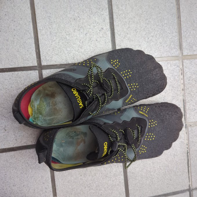 お靴がだめになってきた 