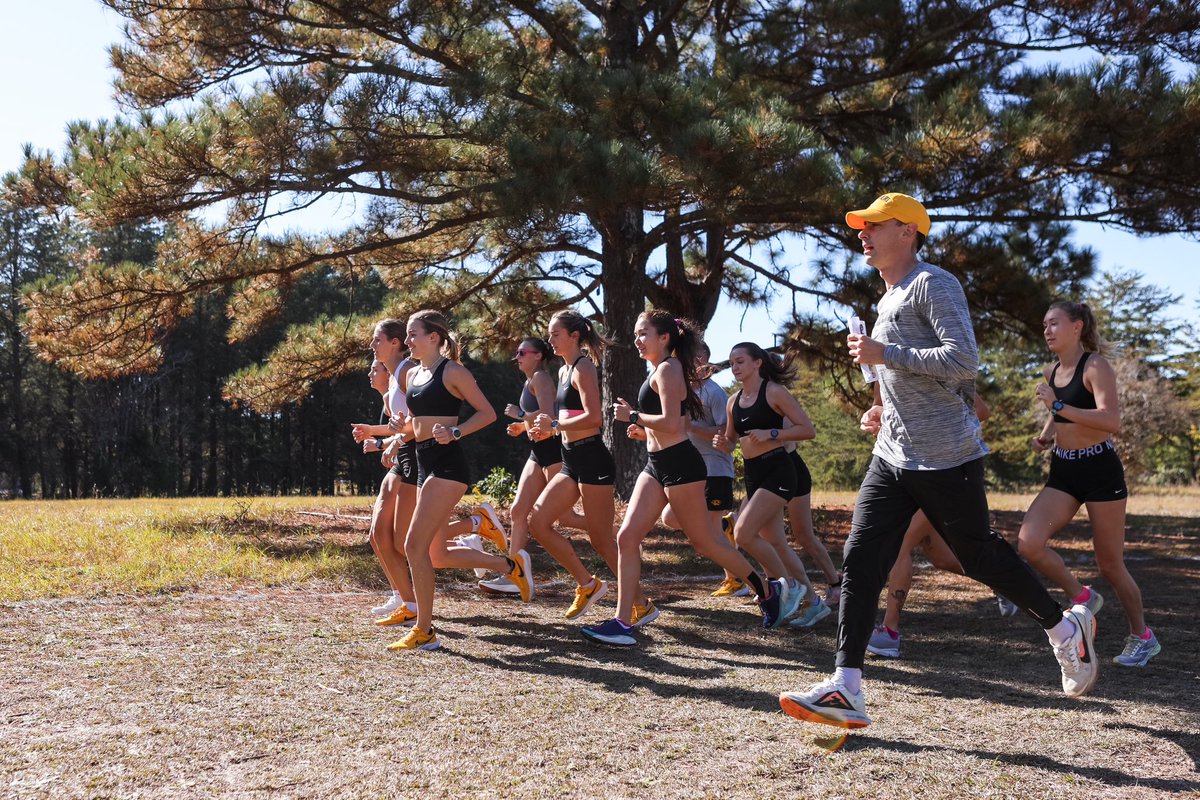 MizzouTFXC's tweet photo. Championship prep 🏆 https://t.co/Lgr7iahzzd
