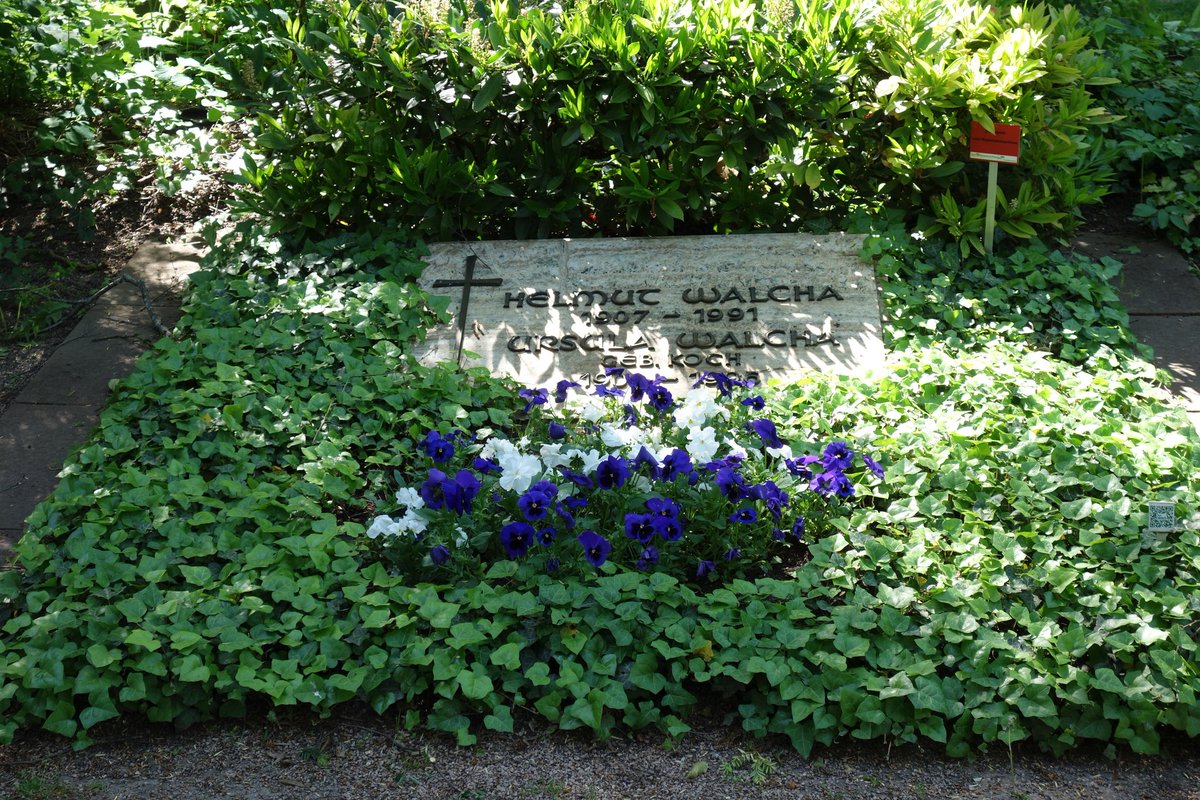 nikolausmella's tweet photo. Today marks the 116th anniversary of the birth of the German #organist &amp; #harpsichordist, A. E. Helmut #Walcha.

Blind since his teenage years, he's known for his recordings of the complete #organ works of J. S. #Bach. 🍁 🧭 * #Leipzig 🇩🇪 #Deutschland 

📸: R. Brandenburg, 2020. https://t.co/Heac1LtBqz