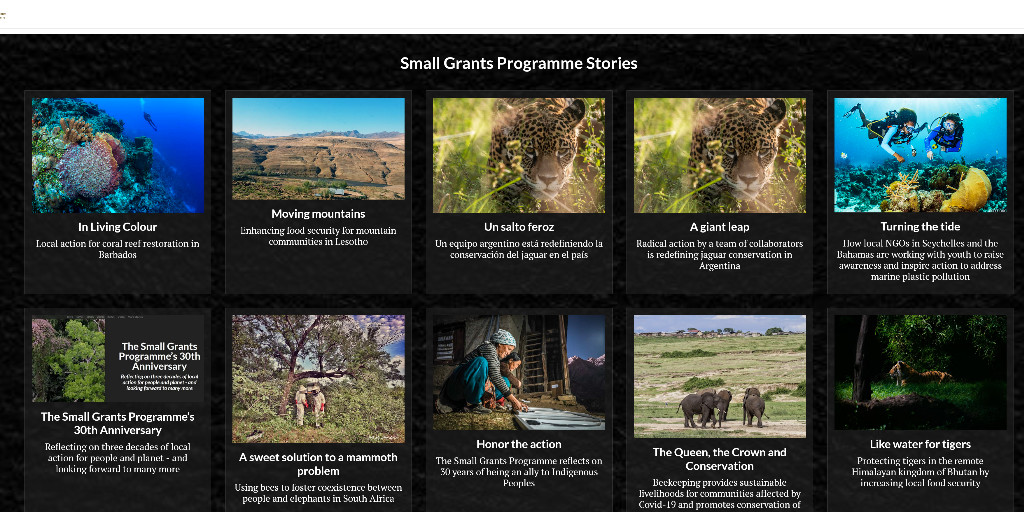GEF_SGP's tweet photo. Need some inspiration? 

Take a look at our stories of how we work with our partners to support #biodiversity conservation, #climateaction and more: https://t.co/WiTYCWgiBp https://t.co/ysORZMXaox