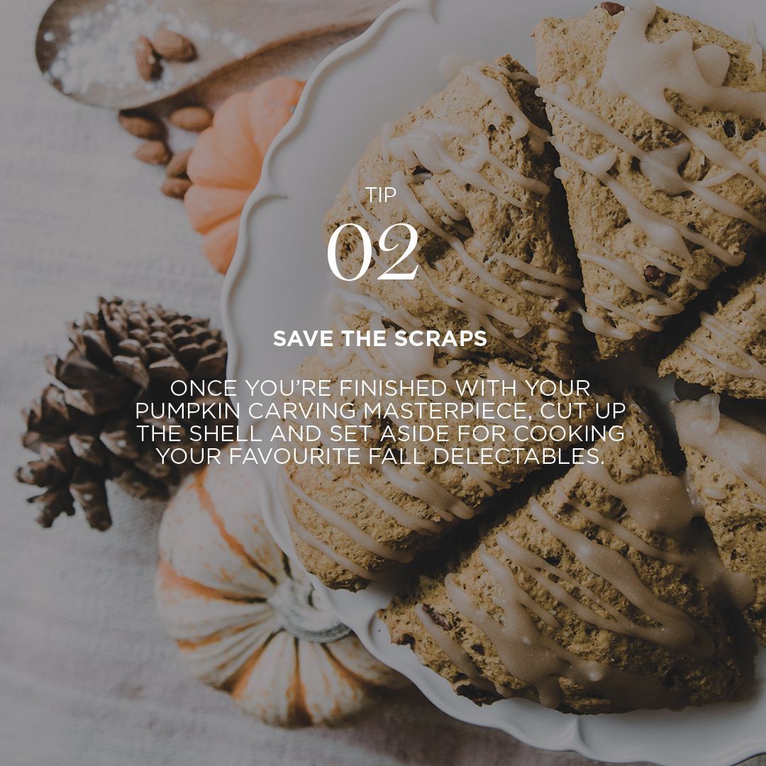 DECOHomesca's tweet photo. Today’s #NationalPumpkinDay!🧡 This spooky season, we’ve come up with a few tips to help you reduce your pumpkin waste that are both sustainable and fun! Swipe right for some of our top tips. #DecoHomes #DecoDecor #DesignForward
Photo Credits: #JessicaGavin #WestElm https://t.co/MBcZk1BWfM