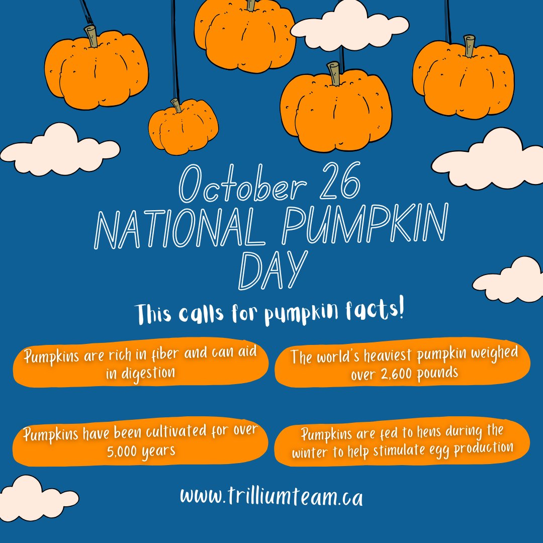 Happy #NationalPumpkinDay folks! 🎃

As we carve, decorate, and savor these festive gourds, it's impossible to forget that Halloween is just around the corner... 👻🏚️

#NationalPumpkinDay #HalloweenCountdown #PumpkinCarving #FestiveFun #Realtor #HaliburtonHighlands #TrilliumTeam