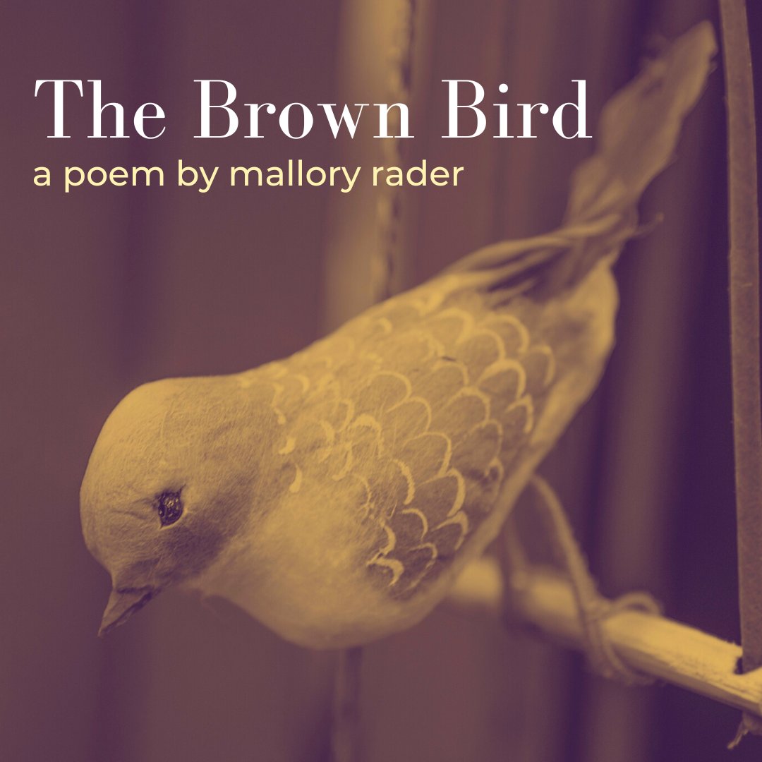 Unfortunately, Literary Magazine tweet media