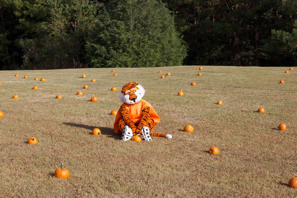 Just too cute not to share. We 🧡 Aubie.
Happy national pumpkin day to those who celebrate!
#aubie #pumpkinseason #auburn #auburntigers #pumpkinday #ourmascotiscoolerthanyours #fall