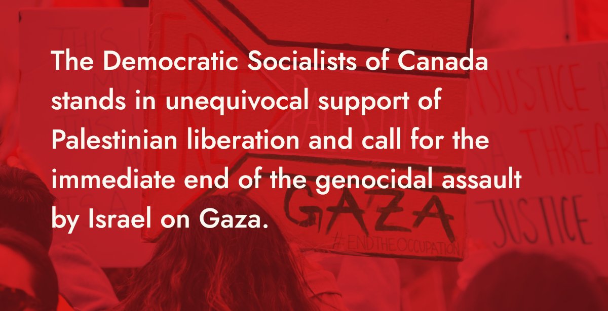 Toronto DSC 🌹 tweet media