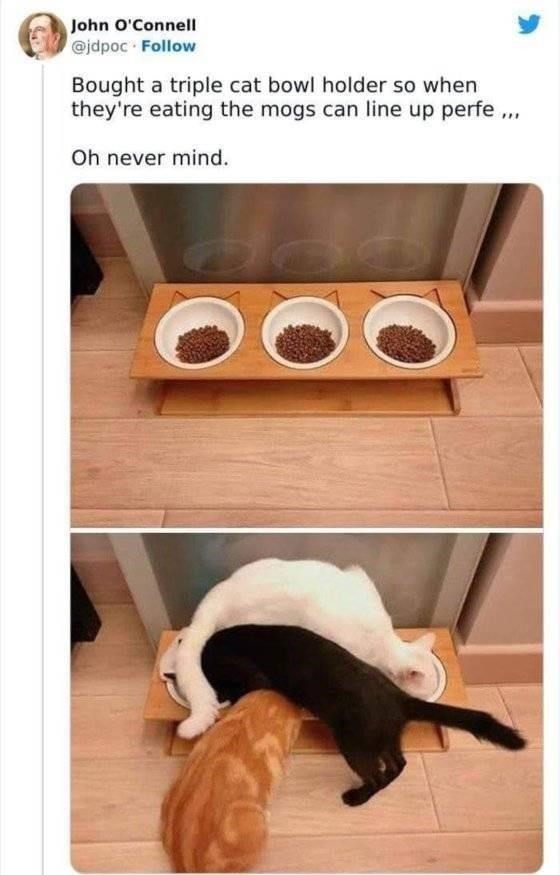 Remind you of anyone you know....?