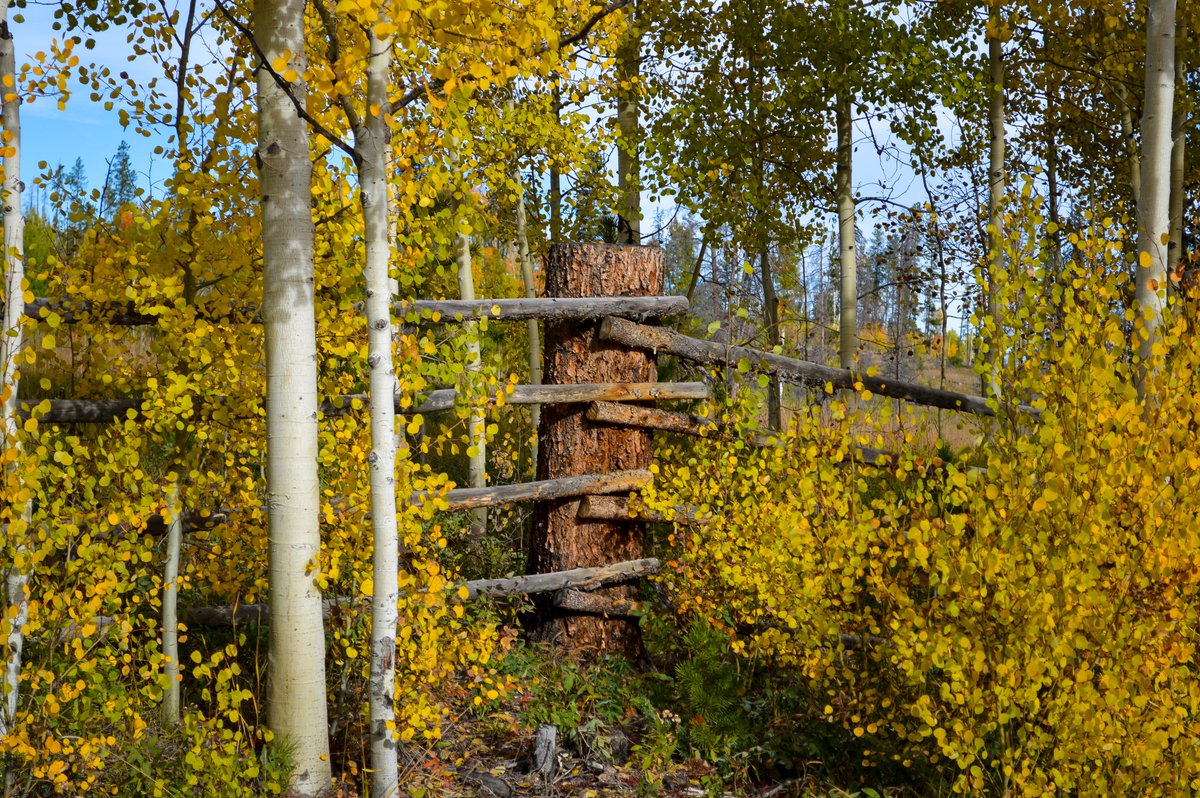 JR Goodwin tweet media