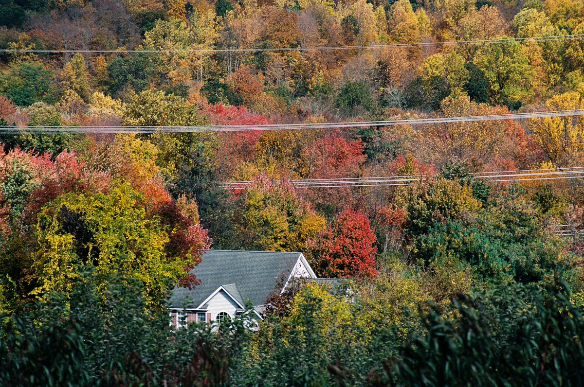 Modoshoot's tweet image. Fall is here🍁

📷 Canon F1
🎞️ Fujifilm Color 400

📍Fishkill Farms | New York

#35mm #filmphotography #newyork #fall #pumpkin #35mmfilm