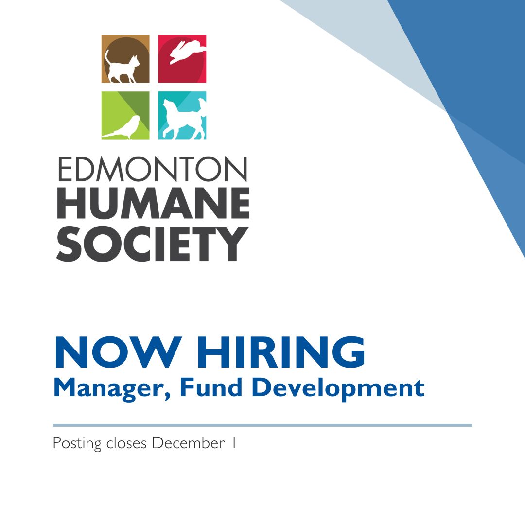 Are you an animal lover with a proven track record of fund development success? This might be just the career opportunity you've been looking for! The Edmonton Humane Society is hiring a Manager of Fund Development. Learn more and apply --> buff.ly/3FyR3YM