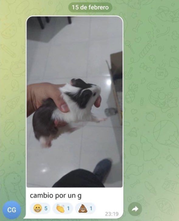 1800 el g la puta madre próximamente soy este