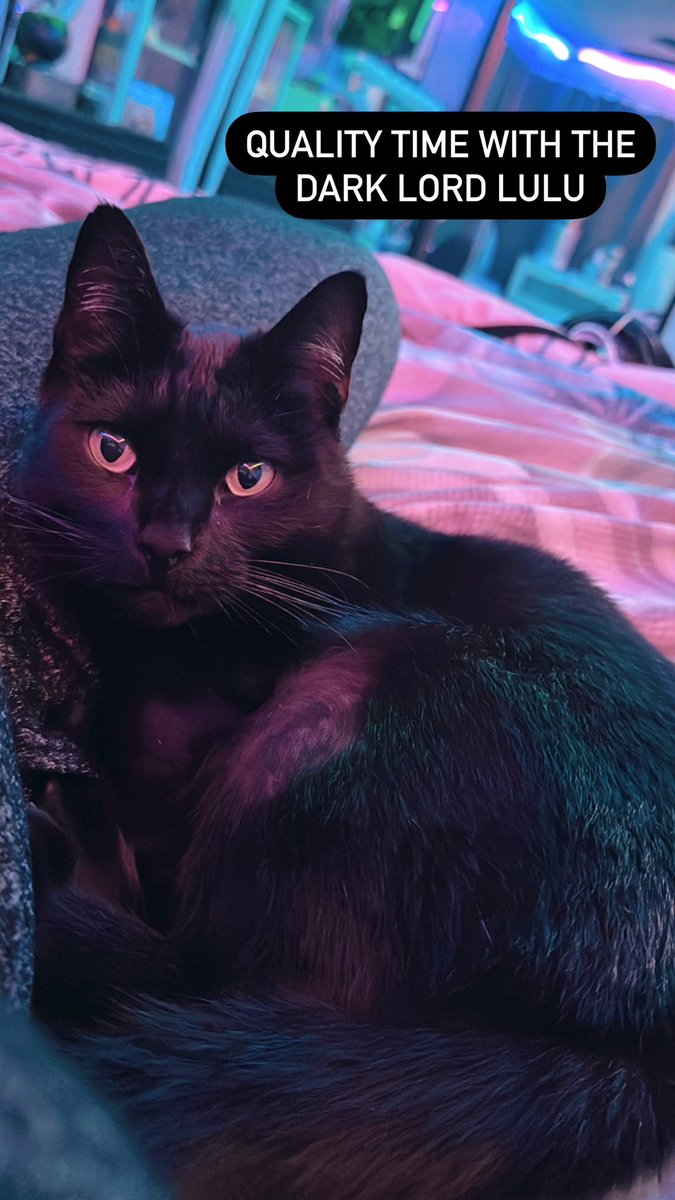 It’s when I’m giving glazed doughnut/slathered in skincare my grumpy black cat Lulu wants to headbutt me and nuzzle my face.  Absolutely love these special moments but fear I walk around hair stuck to my face more often than not 😆