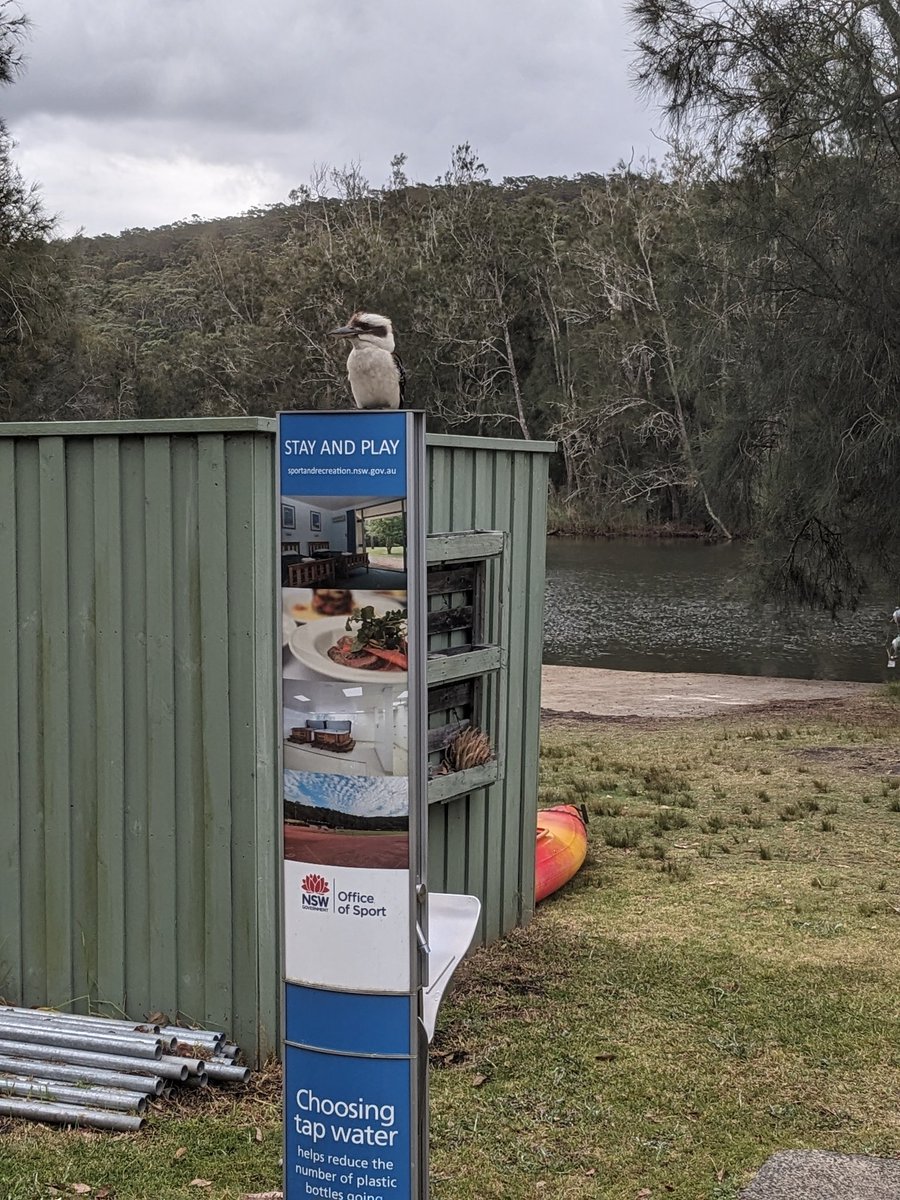 Such a great time at Stage 3 camp these last few days. 🤩