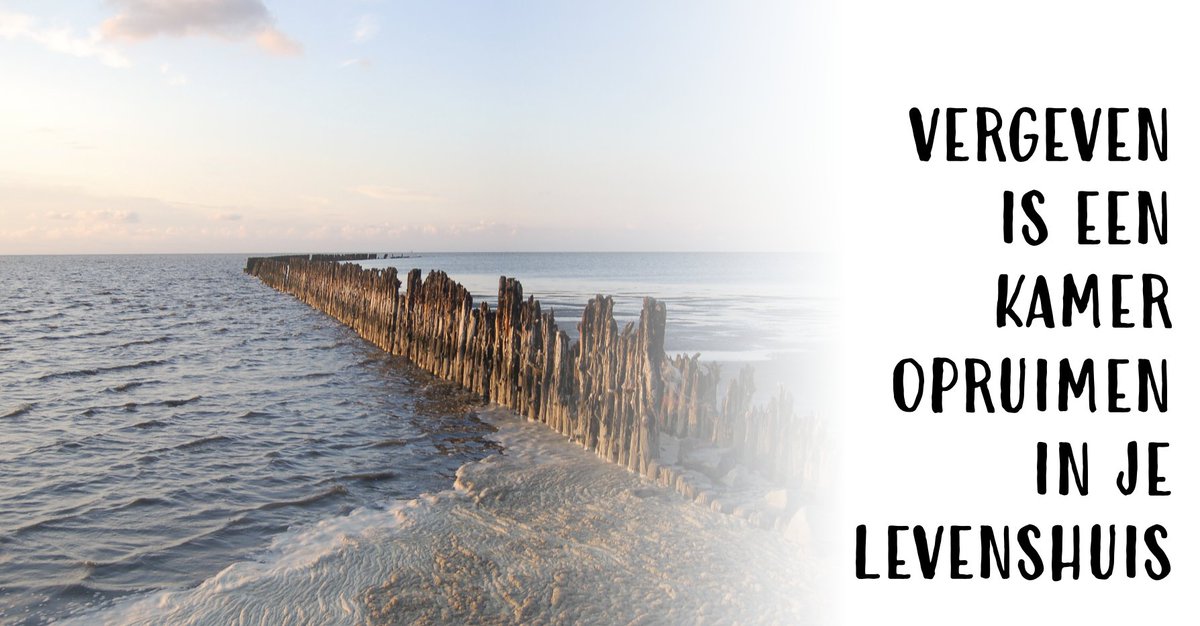 XtraVisie tweet media