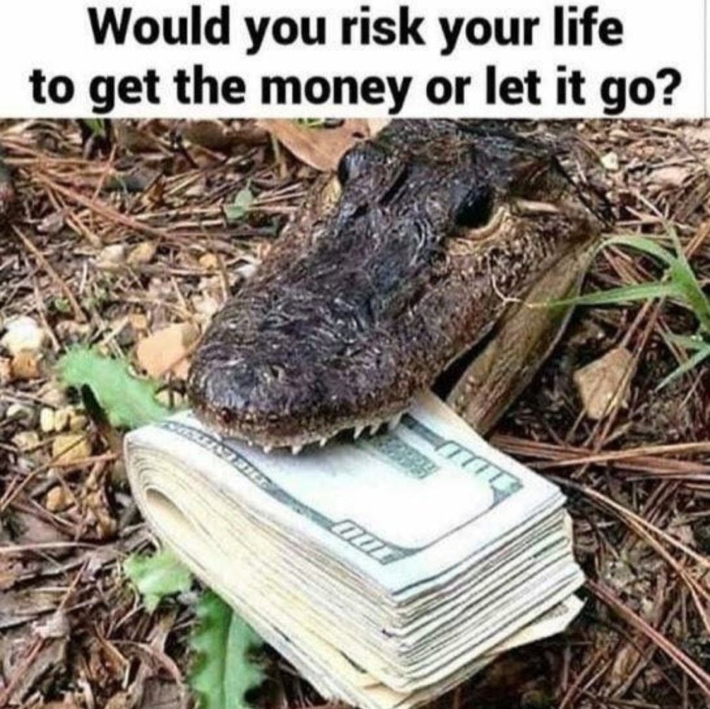 Out of Context Human Race tweet media