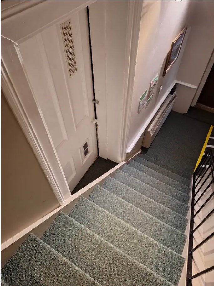 [semi-employed bi-homicidal wandering jewess] tweet media