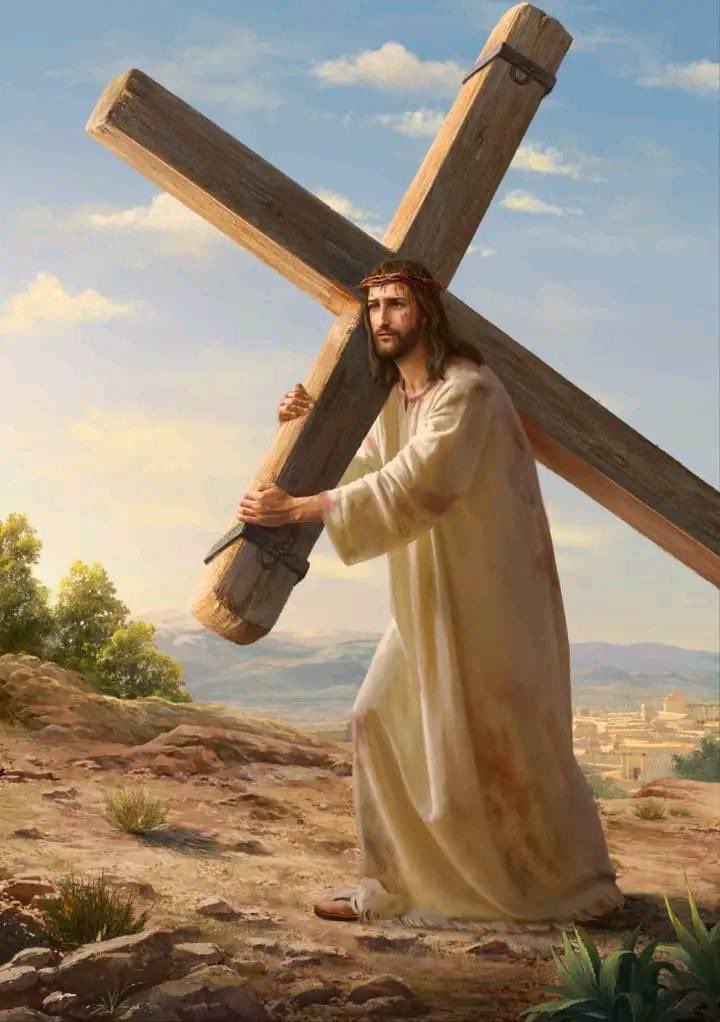 mucobarry7873's tweet photo. ✝️✝️✝️ https://t.co/rD7m0YuKgY