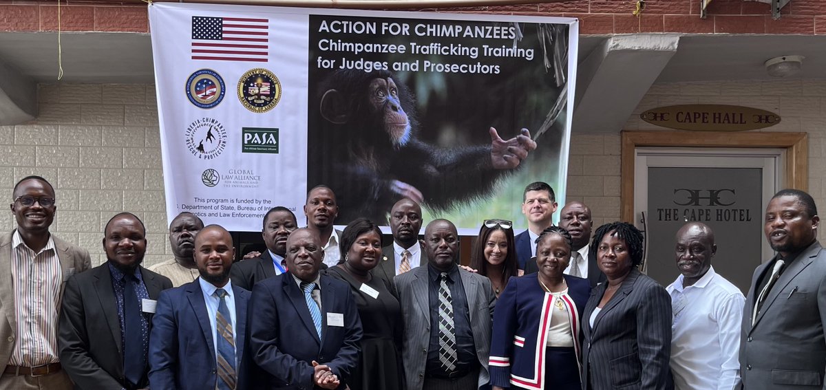 (1/2) Taking action for chimpanzees, @GLAatLC recently had the opportunity to co-facilitate a workshop regarding chimpanzee trafficking for judges and prosecutors in Liberia. Hosted by @liberiachimps and @pasaprimates, made possible through the generosity of the @StateINL.