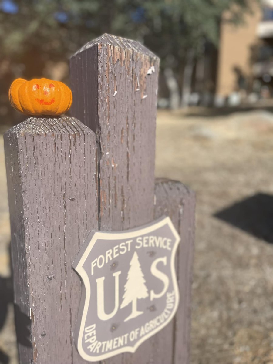 Happy #NationalPumpkinDay! This lil guy with the painted smile went back inside after his photo op.  Why? Pumpkins left outside will naturally attract wildlife to take a nibble and painted pumpkins can be toxic to our local wildlife. If painting, consider keeping them indoors!
