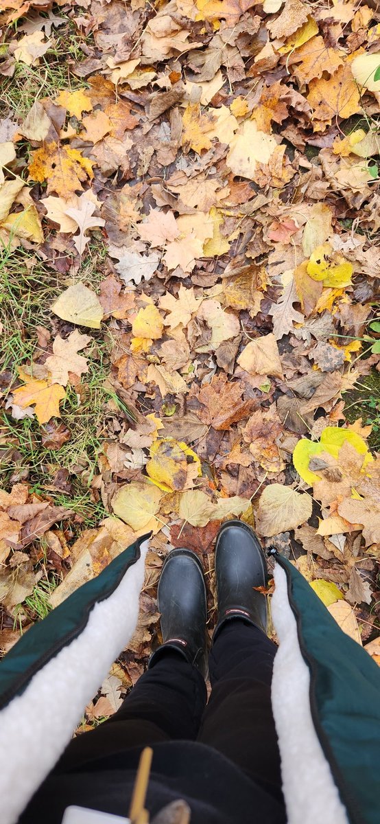 Forest is magical! Lots to explore for the kiddos! This feels great! 🍂

#kindergarten #outdoorlearning