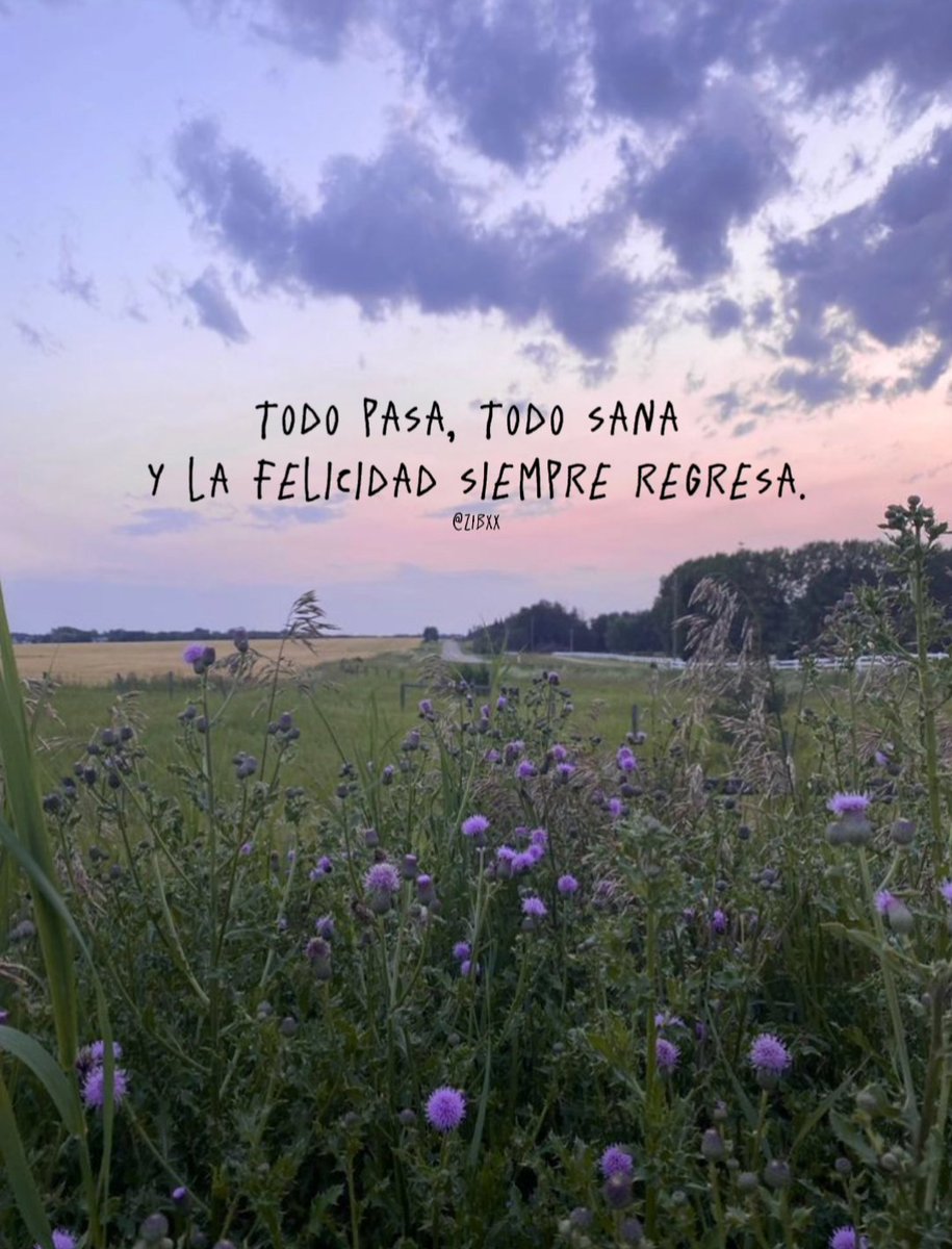 zibá (@zibxx) on Twitter photo 