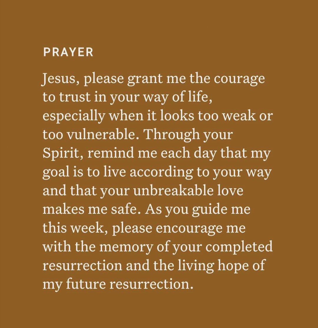 👨‍👩‍👧Mamu Thess tweet media