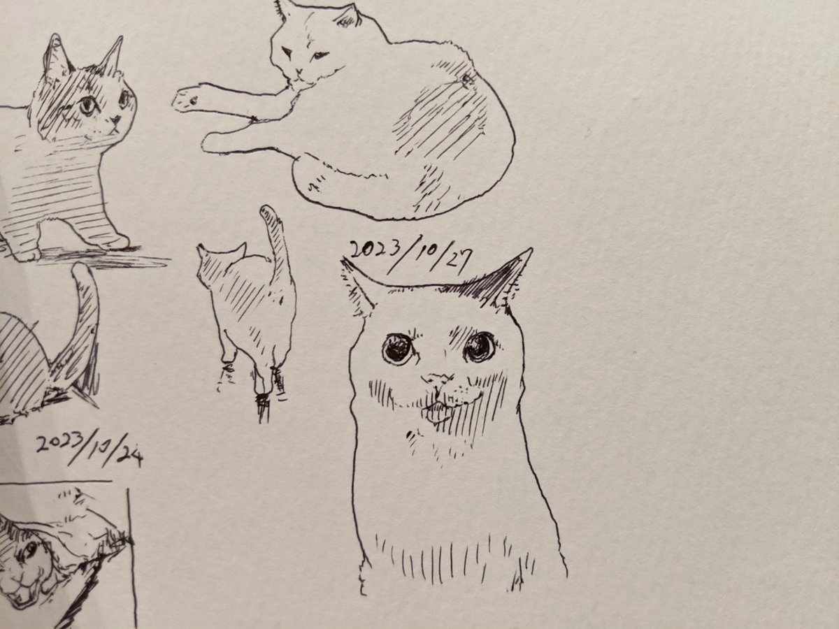 昨日インフルエンザ予防接種しましたわ〜 カキカキ。 