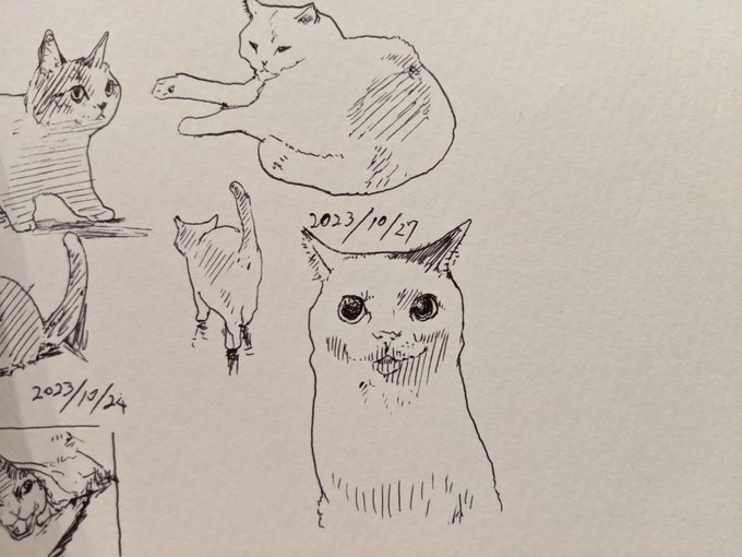 昨日インフルエンザ予防接種しましたわ〜 カキカキ。 