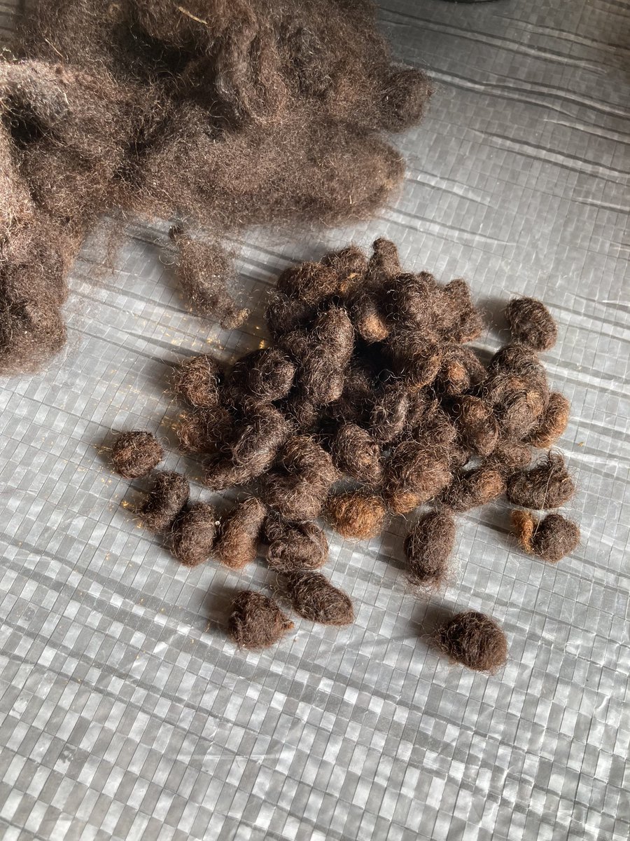 豆大福ように

ひつじの落とし物にもみえるけど、、