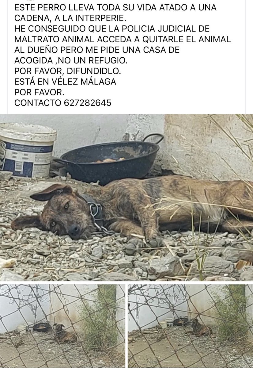 🆘🆘🆘🆘🆘🆘🆘🆘🆘🆘🆘🆘🆘🆘🆘🆘🆘Gente de MÁLAGA !!!