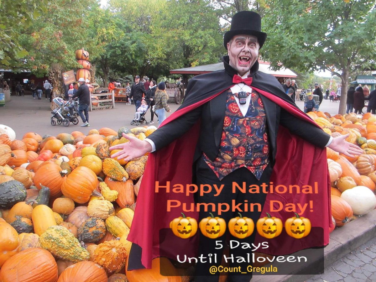 Count_Gregula's tweet photo. Only 5 days until #Halloveen on #NationalPumpkinDay! 🎃🧛🏻♂️🎃
#Halloween #Halloween2023 https://t.co/VA48XY4ZeF