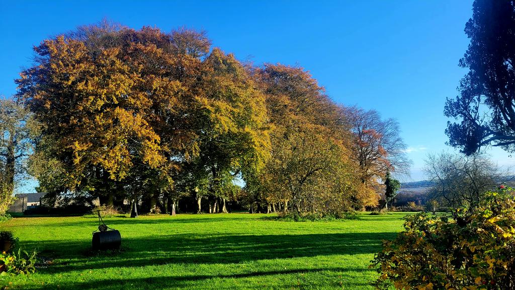 A stunning morning in the Walled Garden . Autumn is such a colourful time here .

#MountBriscieOrganicFarm
#visitoffaly
#AutumnPhotography 
#Irishcountyside 
#weekendbreaks