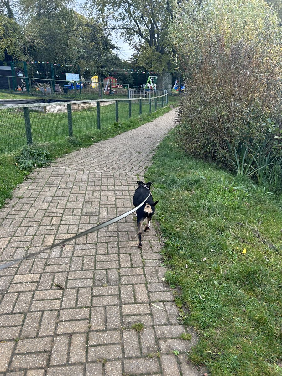 Al Howell tweet media