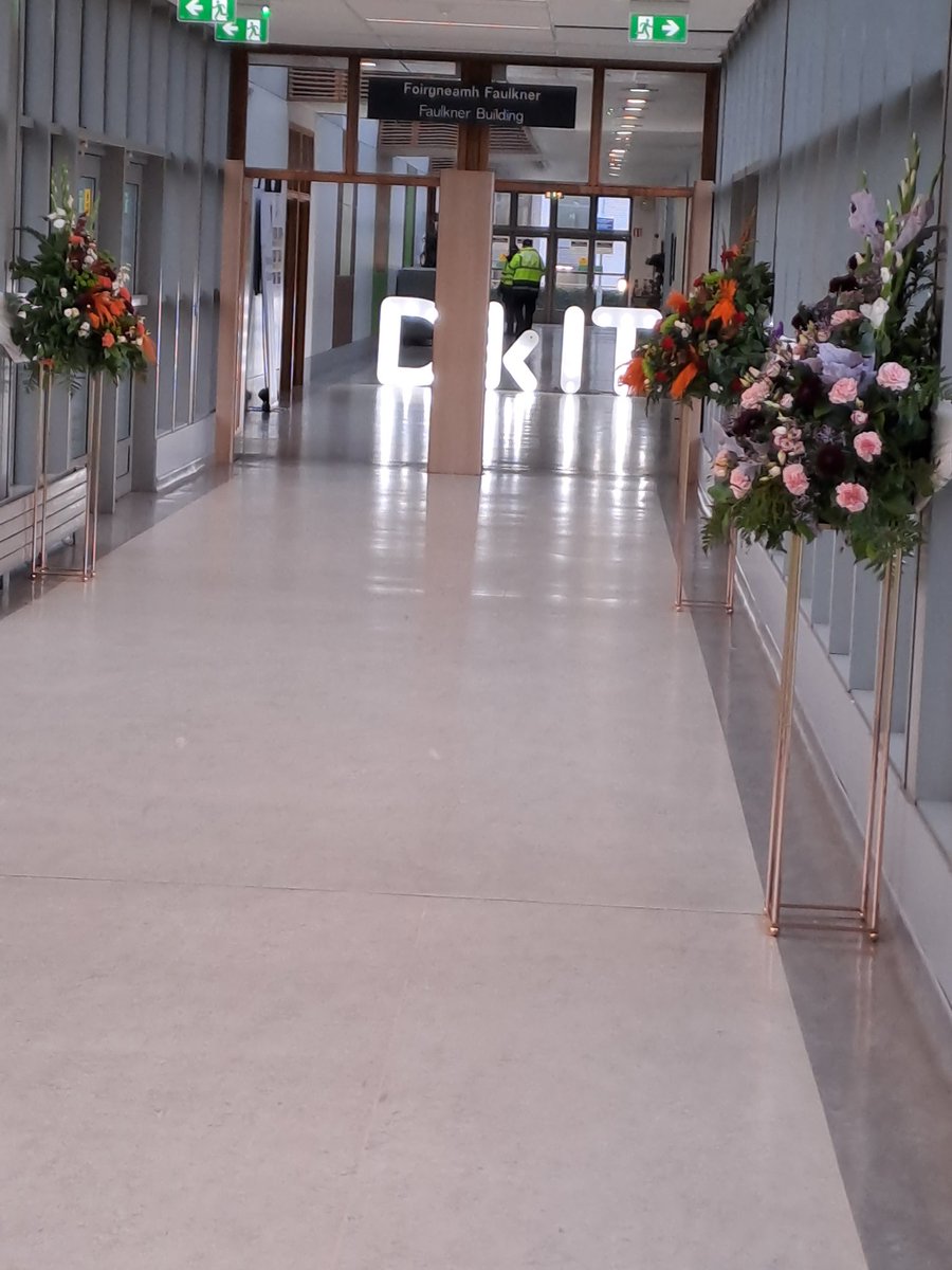 Diarmuid O'Callaghan tweet media