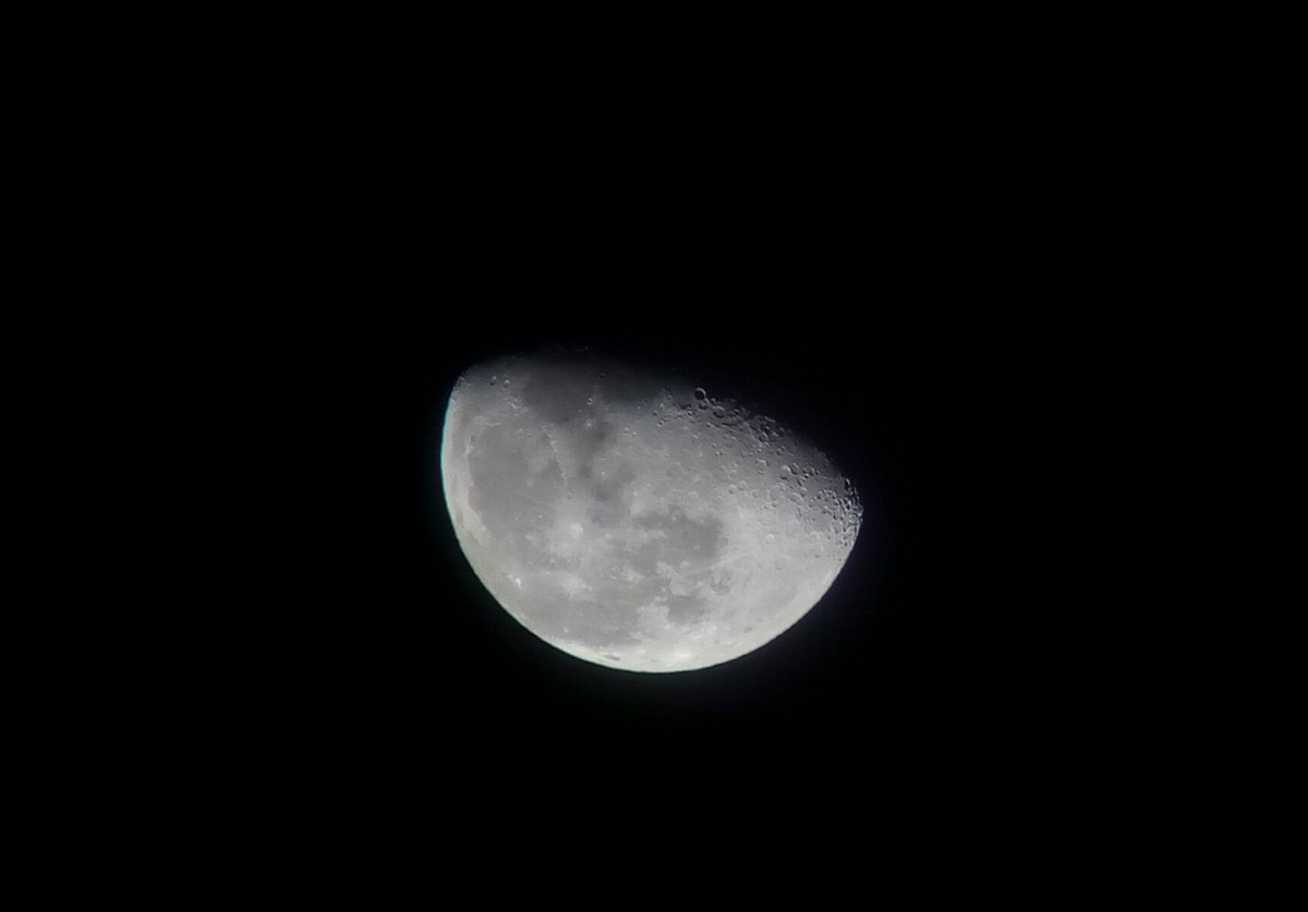 RhoPrimoLeonis's tweet photo. The #Moon and stars dancing with the clouds on a windy November nite! #Luna19 glowing through the naked treetops. #Orion mostly hidden, with Bellatrix and Rigel reaching beyond the cloudy veil. https://t.co/ds7ediT8pF