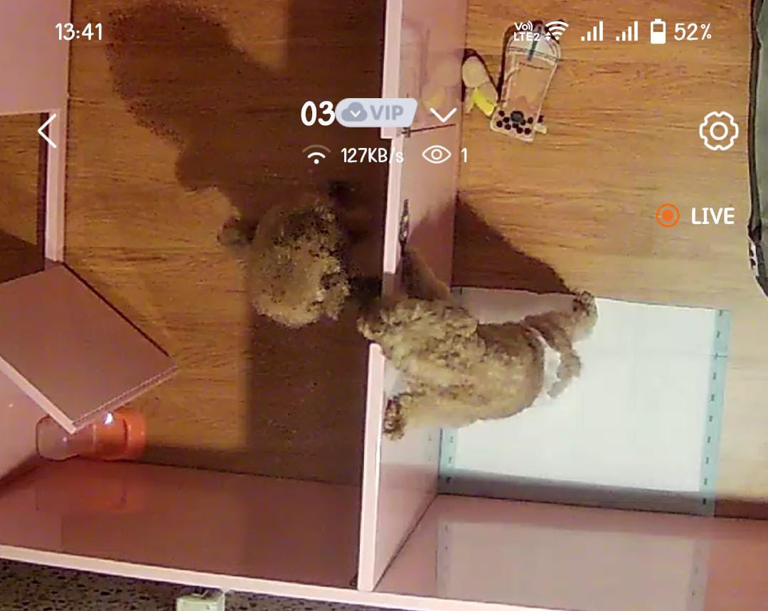 Terpantau mulai pdkt sama cewek, hehh genitnyaaa 🫣