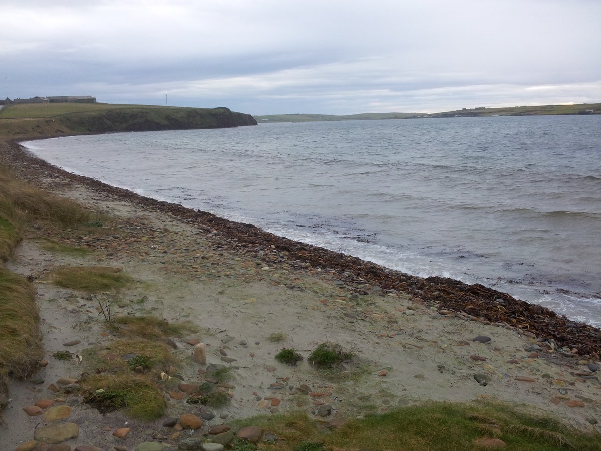 manonabeach's tweet photo. What the #beach means at #Widewall Bay on #SouthRonaldsay #Orkney in #Scotland, with @deer_distillery - https://t.co/dI88d9wUhQ https://t.co/6AsEkw75dJ