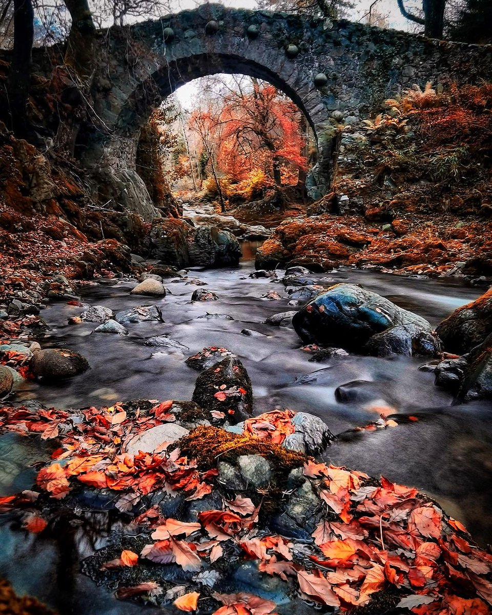 While we prefer the 40 shades of green, we can't deny that you do look good in red, Tollymore!

🚗 1hr south of Belfast

📍Tollymore Forest Park, County Down

📸 instagram.com/grim_med1a/