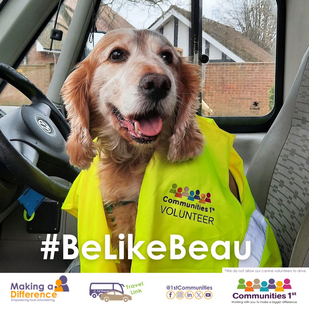 #BeLikeBeau - our hairiest volunteer! Volunteer for Communities 1st and you could be driving our minibus, Shopper Bus or a community car taking local people to attend health appointments or getting them to the shops. 

Learn more: buff.ly/49ilFeG <a href="/ctauk1/">Community Transport Association</a>